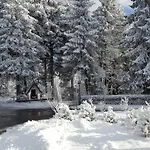 Bergidylle Winterberg