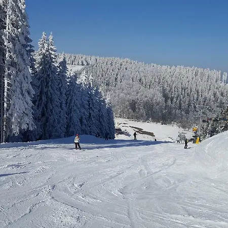 Holiday home Bergidylle Winterberg