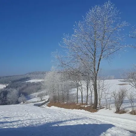 Holiday home Bergidylle *
