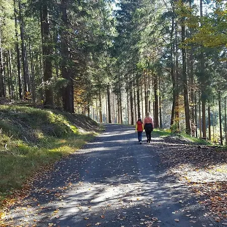 Bergidylle Winterberg