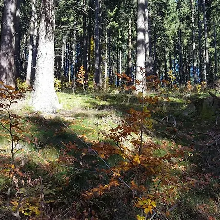 Prázdninový dům Bergidylle Winterberg