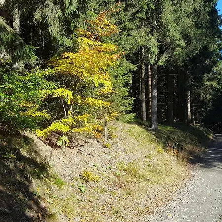 Bergidylle Holiday home Winterberg