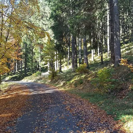 Bergidylle * Winterberg