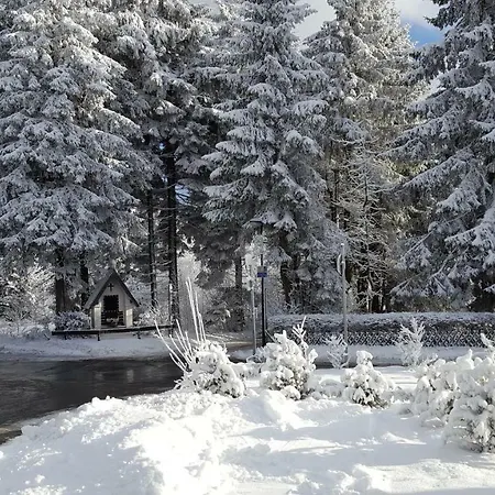 Bergidylle Winterberg