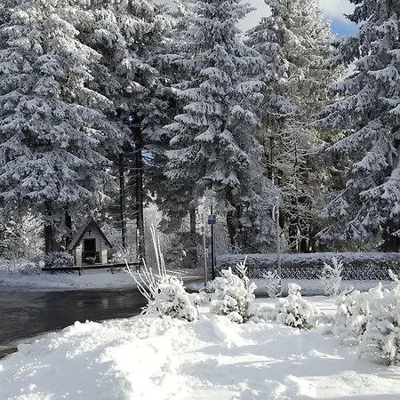 Bergidylle Winterberg