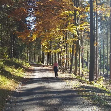 Vakantiehuis Bergidylle
