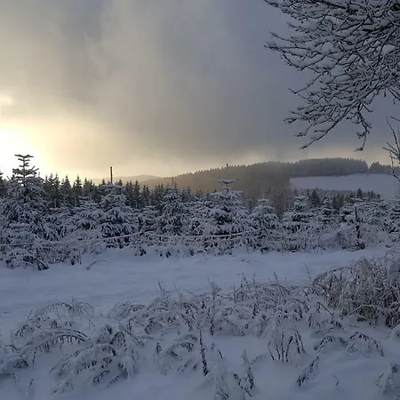 Bergidylle Winterberg