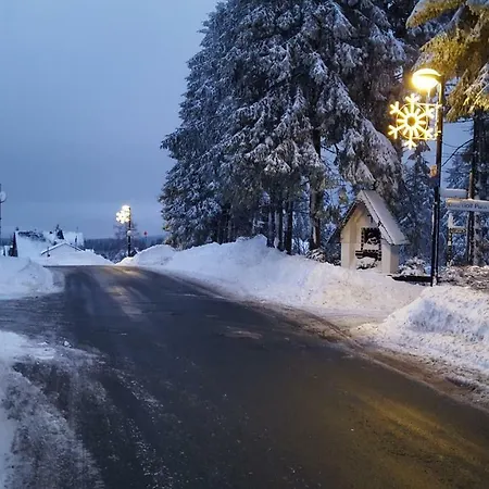 Bergidylle Prázdninový dům Winterberg