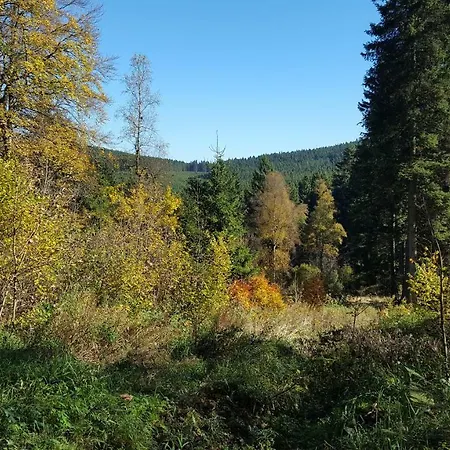 Vakantiehuis Bergidylle