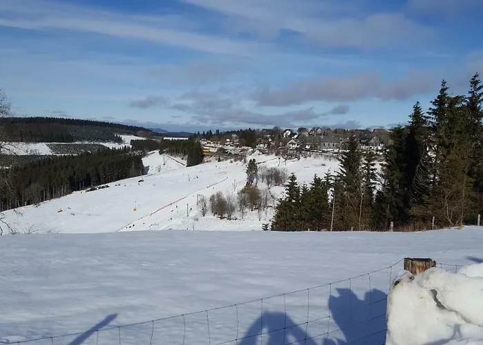 Bergidylle Prázdninový dům Winterberg