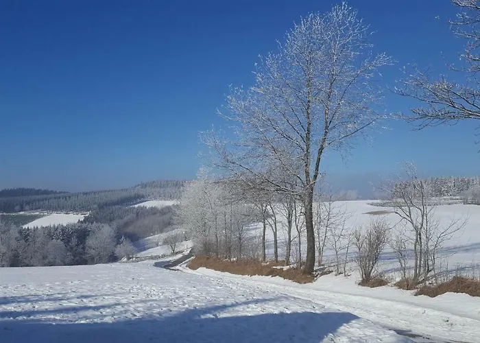 Prázdninový dům Bergidylle *