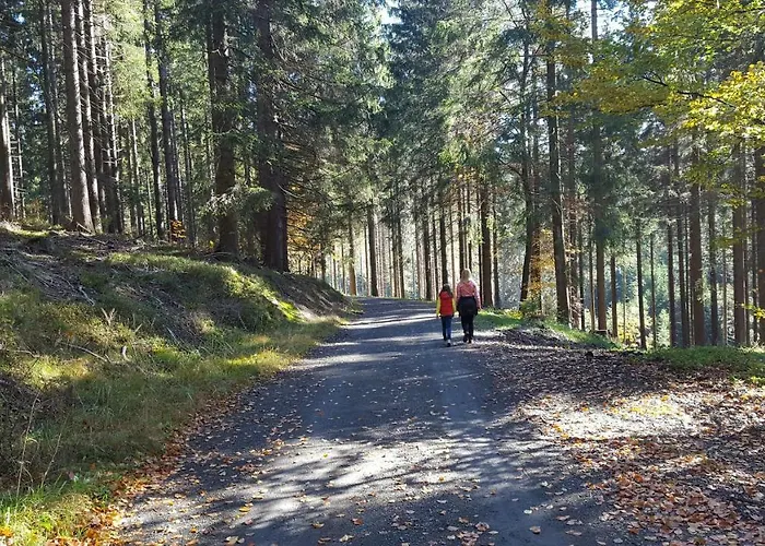 Bergidylle Winterberg