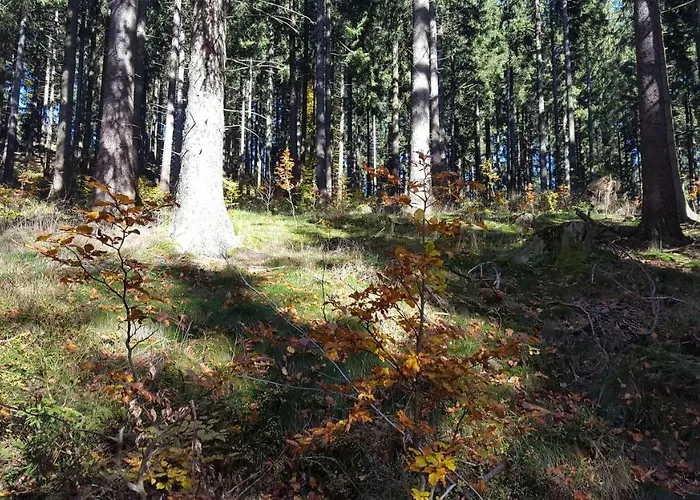 Holiday home Bergidylle Winterberg