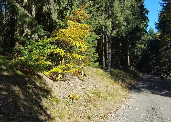 Bergidylle Tatil Evi Winterberg