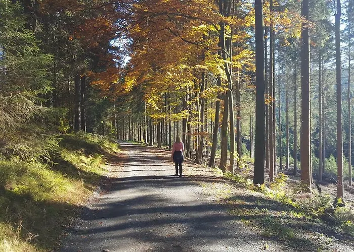 Prázdninový dům Bergidylle
