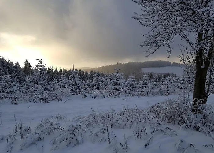 Bergidylle ווינטרברג