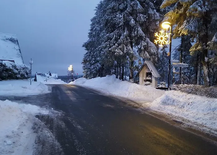 Bergidylle Prázdninový dům Winterberg