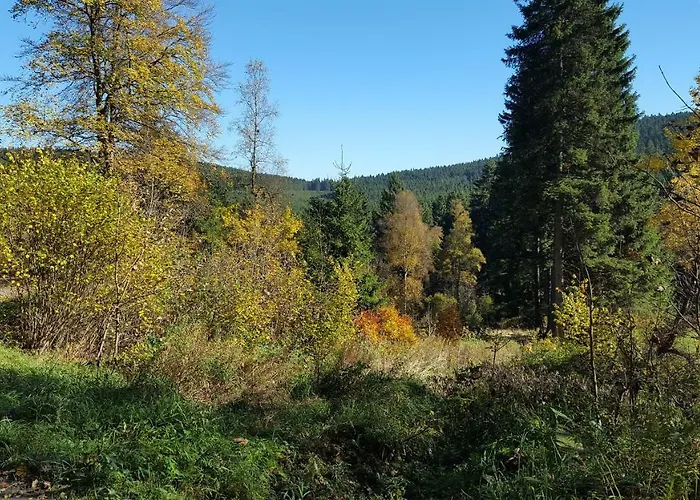 Prázdninový dům Bergidylle